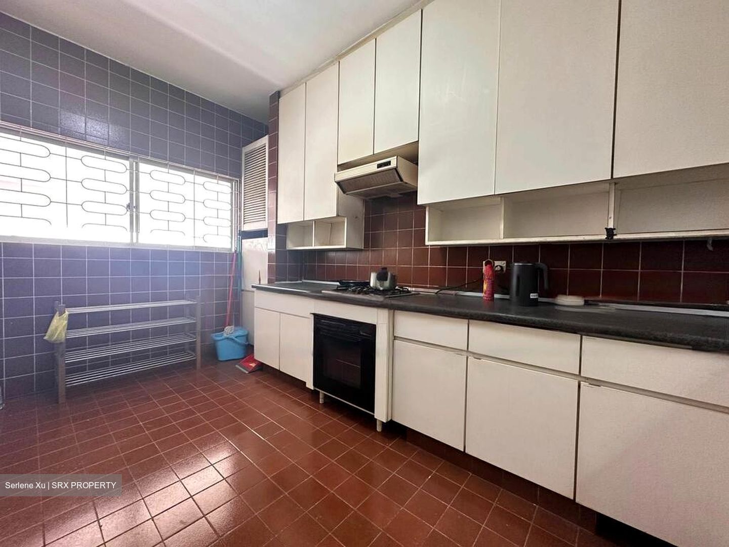 Ridgewood (D10), Condominium #469210801